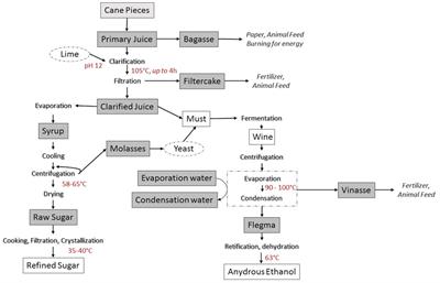 Lack of Detection of Bt Sugarcane Cry1Ab and NptII DNA and Proteins in Sugarcane Processing Products Including Raw Sugar